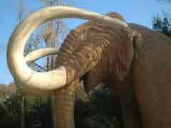 Zoo di Barcellona scultura Mammut