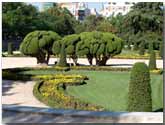 I giardini del Parterre - Madrid